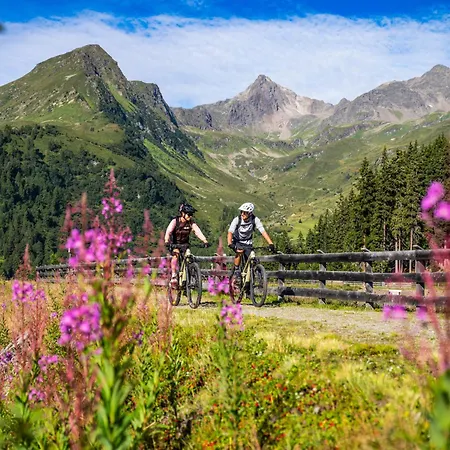 מלון דירות Theresia 4*